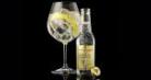 2016-xx-xx dryckesprovning Gin och Tonic