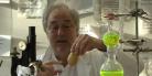 2016-05-15 The Future of Food, Note-by-Note cooking Handelshögskolan