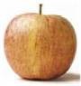 2006-04-04 Desserter 